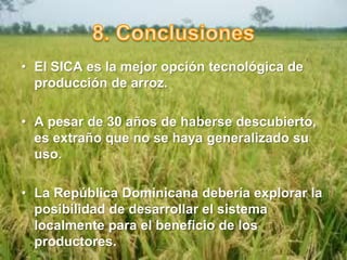 1183-Arroz competitivo:A través del Sistema Intensivo de Cultivo Arrocero (SICA) (SRI)