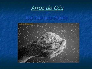 Arroz do Céu
          de

José Rodrigues Miguéis
 