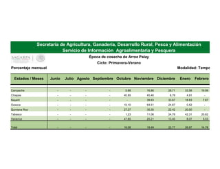 Porcentaje mensual Modalidad: Tempo
Estados / Meses Junio Julio Agosto Septiembre Octubre Noviembre Diciembre Enero Febrero
Campeche - - - - 0.88 16.86 28.71 33.56 19.99
Chiapas - - - - 40.85 45.46 8.78 4.91 -
Nayarit - - - - - 39.83 33.67 18.83 7.67
Oaxaca - - - - 10.10 64.51 24.87 0.52 -
Quintana Roo - - - - 27.27 30.30 22.42 20.00 -
Tabasco - - - - 1.23 11.06 24.78 42.31 20.62
Veracruz - - - - 47.80 25.21 13.40 8.07 5.53
Total - - - - 16.08 19.49 22.77 26.87 14.78
Secretaría de Agricultura, Ganadería, Desarrollo Rural, Pesca y Alimentación
Servicio de Información Agroalimentaria y Pesquera
Época de cosecha de Arroz Palay
Ciclo: Primavera-Verano
 
