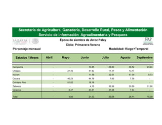 Modalidad: Riego+Temporal
Estados / Meses Abril Mayo Junio Julio Agosto Septiembre
Campeche - - 13.55 26.50 36.72 23.24
Chiapas - 27.45 41.93 17.47 13.14 -
Nayarit - - 11.56 32.61 47.09 8.73
Oaxaca - 40.23 44.79 7.60 7.38 -
Quintana Roo - 81.82 18.18 - - -
Tabasco - - 4.15 33.36 30.59 31.90
Veracruz - 6.47 43.61 41.98 7.94 -
Total - 5.05 21.03 32.08 26.44 15.39
Porcentaje mensual
Secretaría de Agricultura, Ganadería, Desarrollo Rural, Pesca y Alimentación
Servicio de Información Agroalimentaria y Pesquera
Época de siembra de Arroz Palay
Ciclo: Primavera-Verano
 