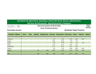 Porcentaje mensual Modalidad: Riego+Temporal
Estados / Meses Junio Julio Agosto Septiembre Octubre Noviembre Diciembre Enero Febrero Marzo
Campeche - - - - 0.70 15.90 33.52 30.52 19.36 -
Chiapas - - - - 40.85 45.46 8.78 4.91 - -
Nayarit - - - - 3.22 70.58 9.19 9.74 7.26 -
Oaxaca - - - - 10.10 64.51 24.87 0.52 - -
Quintana Roo - - - - 27.27 30.30 22.42 20.00 - -
Tabasco - - - - 1.85 11.49 25.98 40.80 19.89 -
Veracruz - - 1.47 6.03 45.73 22.93 12.14 6.95 4.76 -
Total - - 0.63 2.69 14.50 23.12 24.10 22.22 12.74 -
Secretaría de Agricultura, Ganadería, Desarrollo Rural, Pesca y Alimentación
Servicio de Información Agroalimentaria y Pesquera
Época de siembra de Arroz Palay
Ciclo: Primavera-Verano
 