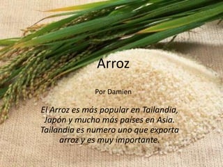 ArrozPor Damien El Arroz es más popular en Tailandia, Japón y mucho más países en Asia. Tailandia es numero uno que exporta arroz y es muy importante. 