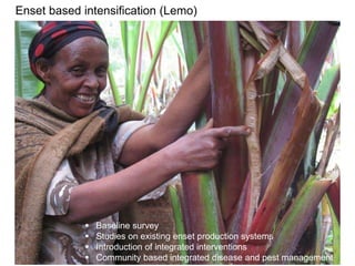 Africa RISING Ethiopia 2013-2014 highlights: How we implemented the work plans