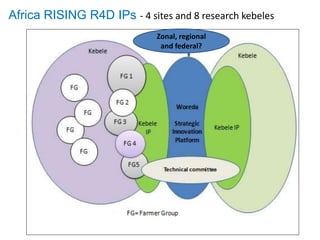 Africa RISING Ethiopia 2013-2014 highlights: How we implemented the work plans