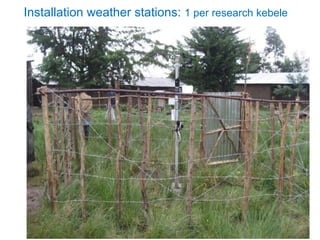 Africa RISING Ethiopia 2013-2014 highlights: How we implemented the work plans