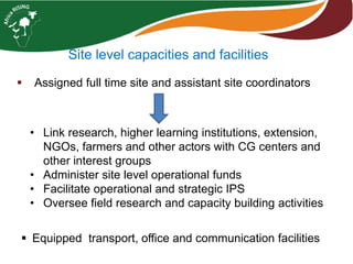 Africa RISING Ethiopia 2013-2014 highlights: How we implemented the work plans