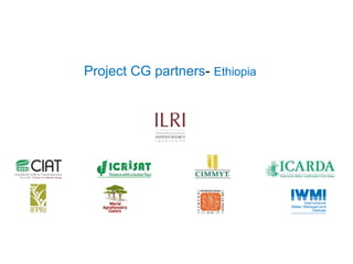 Africa RISING Ethiopia 2013-2014 highlights: How we implemented the work plans