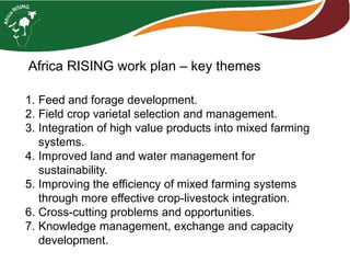 Africa RISING Ethiopia 2013-2014 highlights: How we implemented the work plans