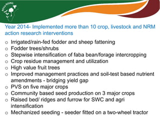 Africa RISING Ethiopia 2013-2014 highlights: How we implemented the work plans