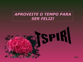 APROVEITE O TEMPO PARA SER FELIZ! TSPIRI 