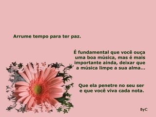Arrume tempo para ter paz. É fundamental que você ouça uma boa música, mas é mais importante ainda, deixar que a música limpe a sua alma... Que ela penetre no seu ser e que você viva cada nota. 