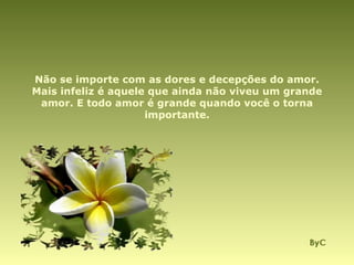 Não se importe com as dores e decepções do amor. Mais infeliz é aquele que ainda não viveu um grande amor. E todo amor é grande quando você o torna importante. 
