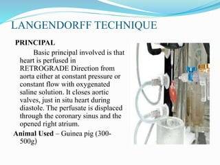 LANGENDORFF TECHNIQUE
PRINCIPAL
Basic principal involved is that
heart is perfused in
RETROGRADE Direction from
aorta either at constant pressure or
constant flow with oxygenated
saline solution. It closes aortic
valves, just in situ heart during
diastole. The perfusate is displaced
through the coronary sinus and the
opened right atrium.
Animal Used – Guinea pig (300-
500g)
 