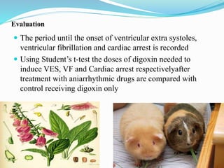 Evaluation
 The period until the onset of ventricular extra systoles,
ventricular fibrillation and cardiac arrest is recorded
 Using Student’s t-test the doses of digoxin needed to
induce VES, VF and Cardiac arrest respectivelyafter
treatment with aniarrhythmic drugs are compared with
control receiving digoxin only
 