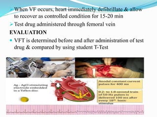 When VF occurs, heart immediately defibrillate & allow
to recover as controlled condition for 15-20 min
Test drug administered through femoral vein
EVALUATION
 VFT is determined before and after administration of test
drug & compared by using student T-Test
 