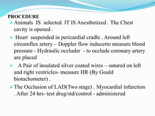 PROCEDURE
Animals IS selected. IT IS Anesthetized . The Chest
cavity is opened .
 Heart suspended in pericardial cradle . Around left
circumflex artery – Doppler flow inducerto measure blood
pressure - Hydraulic occluder - to occlude coronary artery
are placed
 A Pair of insulated silver coated wires – sutured on left
and right ventricles- measure HR (By Gould
biotachometer) .
The Occlusion of LAD(Two stage) . Myocardial infarction
. After 24 hrs- test drug/std/control - administered
 