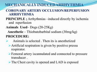 MECHANICALLYINDUCEDARRHYTHMIA
CORONARY ARTERY OCCLUSION/REPERFUSION
ARRHYTHMIA
PRINCIPLE ; Arrhythmias –induced directly by ischemia
and reperfusion
Animals Used– Dogs (20-25Kg)
Anesthetic – Thiobutobarbital sodium (30mg/kg)
PROCEDURE:
 Animals is selected . Then its is anesthetized
Artificial respiration is given by positive pressu
respirator.
Femoral artery iscannulated and connected to pressure
transducer .
The Chest cavity is opened and LAD is exposed
 