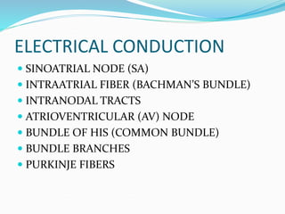 ELECTRICAL CONDUCTION
 SINOATRIAL NODE (SA)
 INTRAATRIAL FIBER (BACHMAN’S BUNDLE)
 INTRANODAL TRACTS
 ATRIOVENTRICULAR (AV) NODE
 BUNDLE OF HIS (COMMON BUNDLE)
 BUNDLE BRANCHES
 PURKINJE FIBERS
 