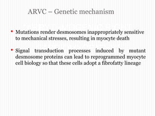 ARVC – Genetic mechanism
“ARRYTHMOGENIC RIGHT
VENTRICULAR
CARDIOMYOPATHY”
• Mutations render desmosomes inappropriately sensitive
to mechanical stresses, resulting in myocyte death
• Signal transduction processes induced by mutant
desmosome proteins can lead to reprogrammed myocyte
cell biology so that these cells adopt a fibrofatty lineage
 