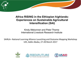 Africa RISING in the Ethiopian highlands:
Experiences on Sustainable Agricultural
Intensification (SAI)
SAIRLA– National Learning Alliance Launching and Outcome Mapping Workshop
ILRI, Addis Ababa, 27-28 March 2017
Kindu Mekonnen and Peter Thorne
International Livestock Research Institute
 