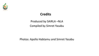 SAIRLA-Ethiopia National Learning Alliance Launch and Outcome Mapping Workshop: Photo report, Addis Ababa, 27-28 March 2017