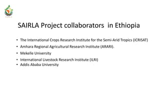 SAIRLA-Ethiopia National Learning Alliance Launch and Outcome Mapping Workshop: Photo report, Addis Ababa, 27-28 March 2017