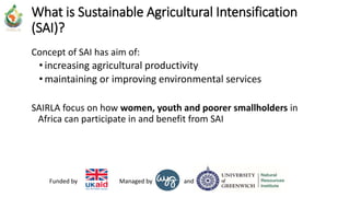 andManaged byFunded by
What is Sustainable Agricultural Intensification
(SAI)?
Concept of SAI has aim of:
• increasing agricultural productivity
• maintaining or improving environmental services
SAIRLA focus on how women, youth and poorer smallholders in
Africa can participate in and benefit from SAI
 