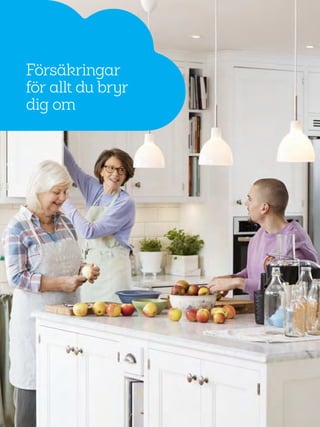 34
Försäkringar
för allt du bryr
dig om
 