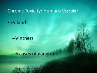 Chronic Toxicity: Humans Vascular
• Poland
–Vintners
–6 cases of gangrene
 