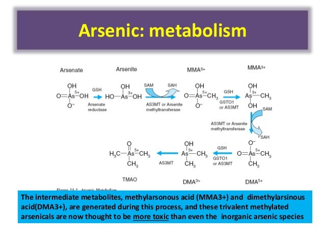 Manganese Poisoning From Food Manganese Poisoning From Food