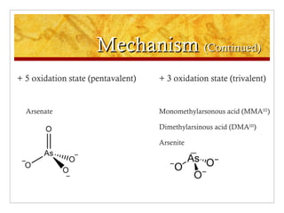 Mechanism (Continued)
+ 5 oxidation state (pentavalent)   + 3 oxidation state (trivalent)


  Arsenate                          Monomethylarsonous acid (MMAIII)

                                    Dimethylarsinous acid (DMAIII)

                                    Arsenite
 
