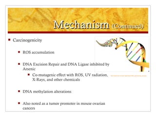 Mechanism (Continued)
   Carcinogenicity

         ROS accumulation

         DNA Excision Repair and DNA Ligase inhibited by
          Arsenic
               Co-mutagenic effect with ROS, UV radiation,   http://www.biol.unt.edu/~jajohnson/DNA_sequencing_process


                X-Rays, and other chemicals

         DNA methylation alterations

         Also noted as a tumor promoter in mouse ovarian
          cancers
 