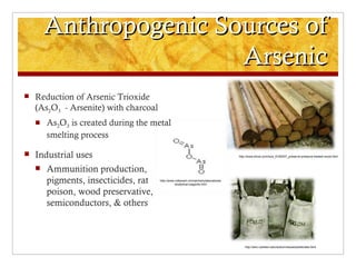 Anthropogenic Sources of
                        Arsenic
   Reduction of Arsenic Trioxide
    (As2O3 - Arsenite) with charcoal
       As2O3 is created during the metal
        smelting process

   Industrial uses                                                                   http://www.ehow.com/how_6160537_preserve-pressure-treated-wood.html



       Ammunition production,
        pigments, insecticides, rat    http://www.indiamart.com/alchemylaboratories
                                                  /analytical-reagents.html


        poison, wood preservative,
        semiconductors, & others



                                                                                          http://serc.carleton.edu/woburn/issues/pesticides.html
 