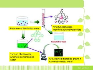 Arsenate contaminated water
APC functionalised
merrified polymer+arsenate
Turn on Fluroscence
Arsenate contaminated
water APC stained microbes grown in
As contaminated water
 