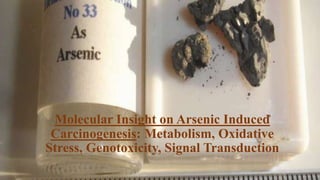 Molecular Insight on Arsenic Induced
Carcinogenesis: Metabolism, Oxidative
Stress, Genotoxicity, Signal Transduction
 