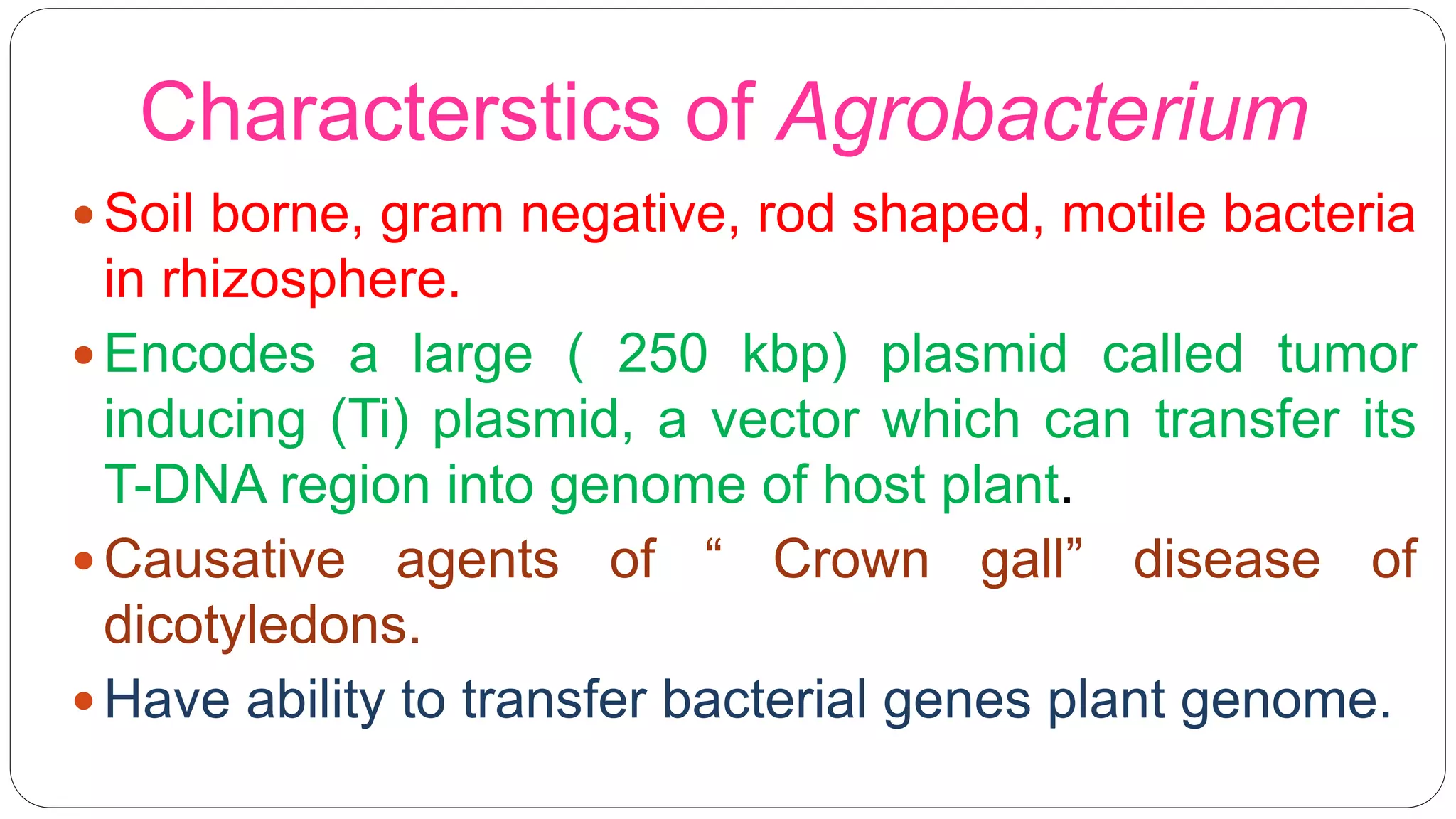 CLASSIFICATION OF BACTERIA | PPTX