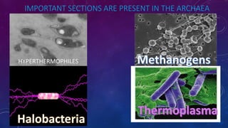 IMPORTANT SECTIONS ARE PRESENT IN THE ARCHAEA
HYPERTHERMOPHILES
 