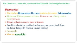 The Deinococci , Mollicutes, and Non-Proteobacterial Gram-Negative Bacteria
Deinococci
 The phylum Deinococcus-Thermus contains the orders Deinococcales.
 Ribosomal RNA sequences reveals- Deinococcus, closely relates
with Thermus.
 Shape:- spherical, rod, in pairs or tetrads.
 Aerobic and catalase positive(catalase enzyme prevent cell from
oxidative damage by reactive oxygen species)
 Non motile.
 Most are mesophilic.
 