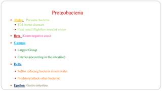Proteobacteria
 Alpha : Parasitic bacteria
 Tick borne diseases
 Flea( small flightless insects) vector
 Beta :Gram negative cocci
 Gamma
 Largest Group
 Enterics (occurring in the intestine)
 Delta
 Sulfur reducing bacteria in soli/water
 Predatory(attack other bacteria)
 Epsilon: Gastro intestine
 