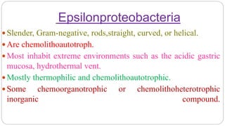 Epsilonproteobacteria
 Slender, Gram-negative, rods,straight, curved, or helical.
 Are chemolithoautotroph.
 Most inhabit extreme environments such as the acidic gastric
mucosa, hydrothermal vent.
 Mostly thermophilic and chemolithoautotrophic.
 Some chemoorganotrophic or chemolithoheterotrophic
inorganic compound.
 