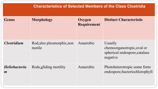 Characteristics of Selected Members of the Class Clostridia
Genus Morphology Oxygen
Requirement
Distinct Characteristic
Clostridium Rod,also pleomorphic,non
motile
Anaerobic Usually
chemoorganotropic,oval or
spherical endospore,catalase
negative
Heliobacteriu
m
Rods,gliding motility Anaerobic Photoheterotropic some form
endospore,bacteriochlorophyll
 