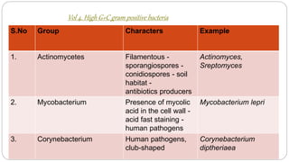 Vol 4. High G+C gram positive bacteria
S.No Group Characters Example
1. Actinomycetes Filamentous -
sporangiospores -
conidiospores - soil
habitat -
antibiotics producers
Actinomyces,
Sreptomyces
2. Mycobacterium Presence of mycolic
acid in the cell wall -
acid fast staining -
human pathogens
Mycobacterium lepri
3. Corynebacterium Human pathogens,
club-shaped
Corynebacterium
diptheriaea
 