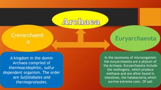 Crenarchaeot
-a
A kingdom in the domin
Archaea compried of
thermoacidophilic, sulfur
dependent organism. The order
are Sulfolobales and
thermoproteales.
In the taxonomy of microorganism
the euryarchaeota are a phylum of
the Archaea. Euryarchaeota include
the methogens, which produce
methane and are often found in
intestines, the halobacteria,which
survive extreme conc. Of salt
 