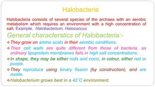 Halobacteria
Halobacteria consists of several species of the archaea with an aerobic
metabolism which requires an environment with a high concentration of
salt. Example. Halobacterium, Halococcus
General characterstics of Halobacteria:-
They grow on amino acids in their aerobic conditions.
Their cell walls are quite different from those of bacteria, as
ordinary lipoprotein membranes fails in high salt concentrations.
In shape, they may be either rods and cocci, in colour, either red or
purple.
They reproduce using binary fission (by construction), and are
motile.
Halobacterium grows best in a 42˚C environment.
 