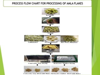 Effect of blanching and drying air temperature on quality of dried amla flakes