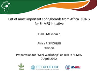 List of most important springboards from Africa RISING
for SI-MFS initiative
Kindu Mekonnen
Africa RISING/ILRI
Ethiopia
Preparation for "Mini Workshop" on ILRI in SI-MFS
7 April 2022
 