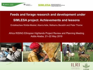 Feeds and forage research and development under
SIMLESA project: Achievements and lessons
Endalkachew Wolde-Meskel, Aberra Adie, Melkamu Bezabih and Peter Thorne
Africa RISING Ethiopian Highlands Project Review and Planning Meeting
Addis Ababa, 21–22 May 2019
 