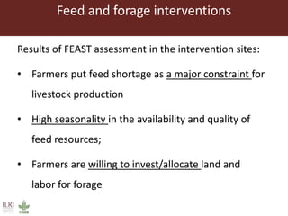 Feed and forage interventions
Results of FEAST assessment in the intervention sites:
• Farmers put feed shortage as a major constraint for
livestock production
• High seasonality in the availability and quality of
feed resources;
• Farmers are willing to invest/allocate land and
labor for forage
 