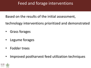 Feed and forage interventions
Based on the results of the initial assessment,
technology interventions prioritized and demonstrated
• Grass forages
• Legume forages
• Fodder trees
• Improved postharvest feed utilization techniques
 