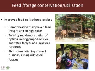 Feed /forage conservation/utilization
• Improved feed utilization practices
• Demonstration of improved feed
troughs and storage sheds
• Training and demonstration of
optimal mixing proportions for
cultivated forages and local feed
resources
• Short-term fattening of small
ruminants using cultivated
forages
 
